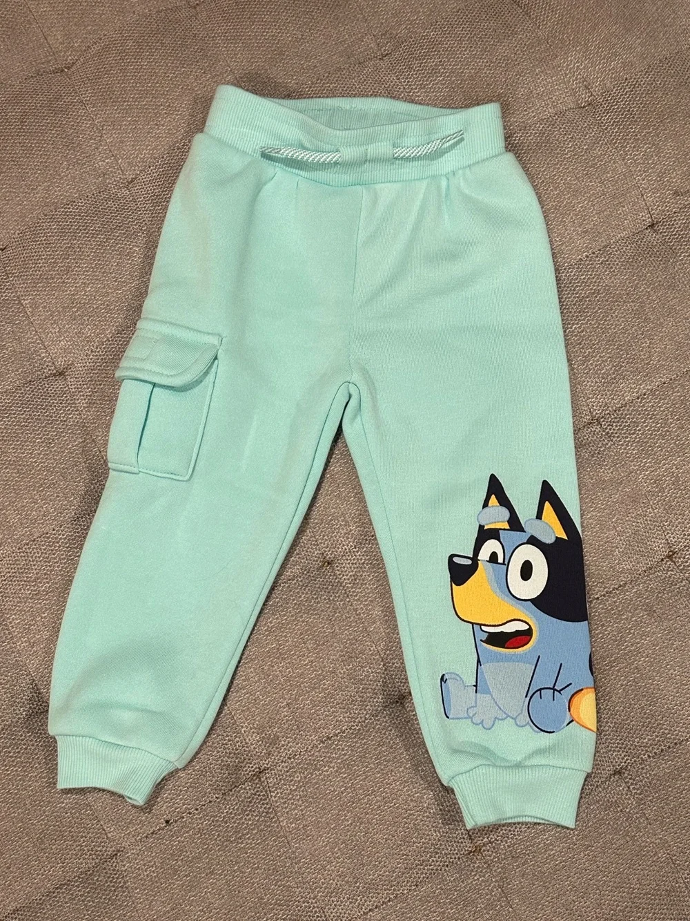 Bluey & Bingo Teal Hoodie and Jogger Set